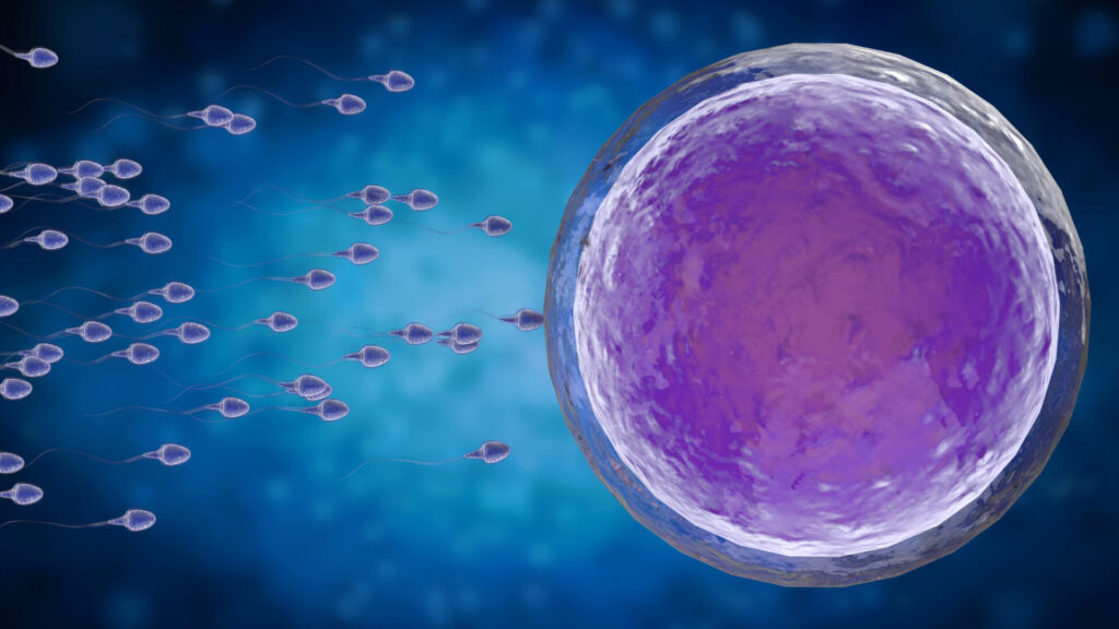 Do Gametes (Egg/Sperm) Create a Sex Binary? Science Confirms No.