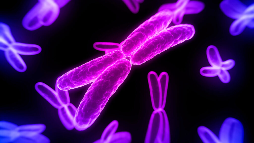 Does the Y Chromosome Create a Sex Binary? Science Says No.
